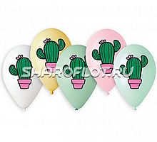 Шары Кактус (ассорти), 30см
