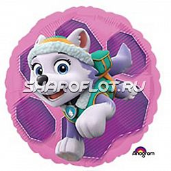 Шар Круг Скай и Эверест 40см