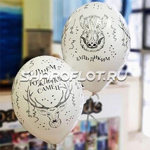 Шары С ДР Самец, 30см