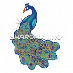 Шар Павлин блестящий 100см