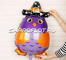 Фигурный шар «Сова-волшебница» (76 см)