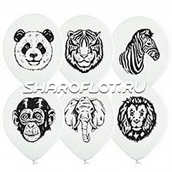 Шары Дикие животные, 30см
