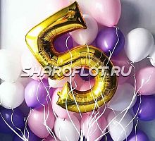 Шары на 5 лет №24