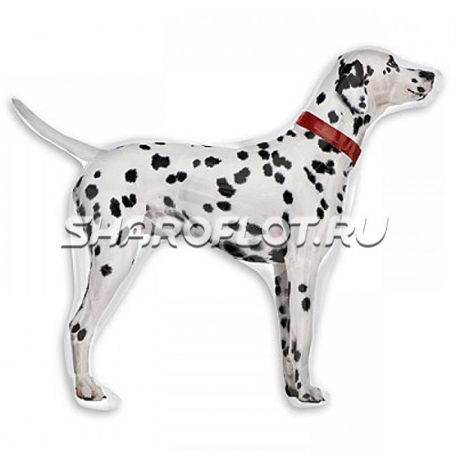 Шар Долматинец 60см