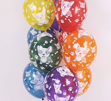 Шары Корги Ассорти 30см