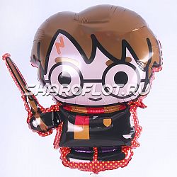 Шарик Гарри Поттер 60см