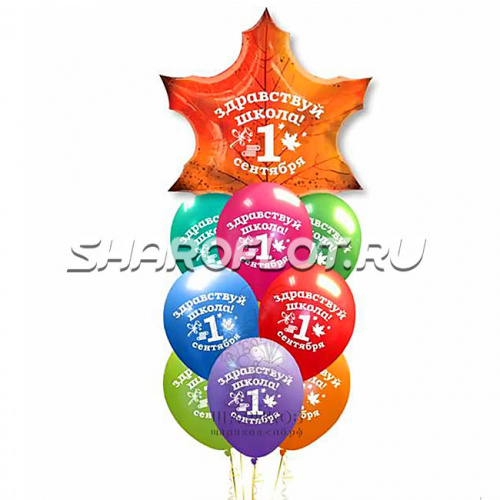 Сет шаров - Здравствуй школа