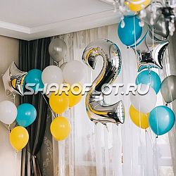 Шары на 2 года №06