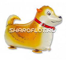 Ходячий шар Собака Рыжая 50см