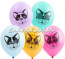 Шары Собачки Бульдоги, 30см