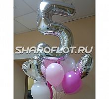 Шары на 5 лет №20