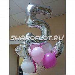 Шары на 5 лет №20