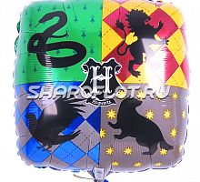 Шар подушка Гарри Поттер 40см