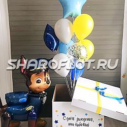 Подарок-сюрприз от щенка Чейза