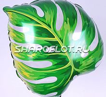 Шар Лист тропический 50см