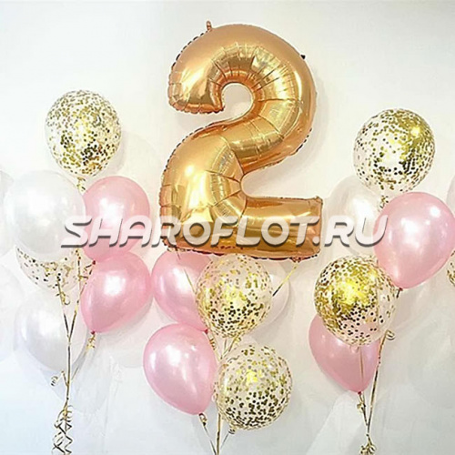 Шары на 2 года №11