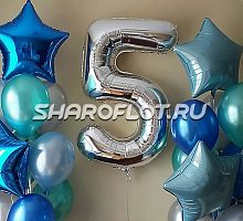 Шары на 5 лет №32