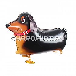 Ходячий шар «Собака Такса» 61см