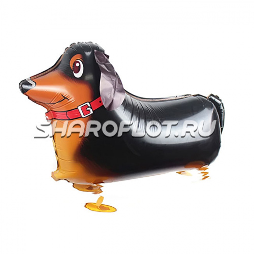 Ходячий шар «Собака Такса» 61см