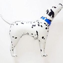 Шар Долматинец 80см