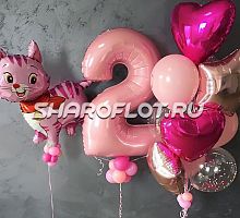 Шары на 2 года №02
