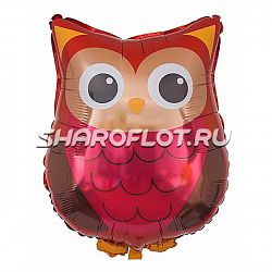 Шар Совенок 60см