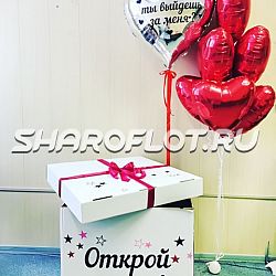 Коробка с предложением Ты выйдешь за меня?