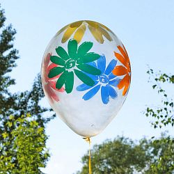 Прозрачные шары с цветами Ромашки 30см