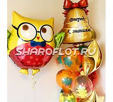 Шары с Филином Вперед к знаниям