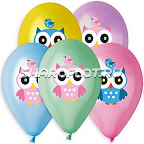 Шары Совушка, 30см