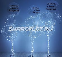 Букет с прозрачными светящимися Bubbles