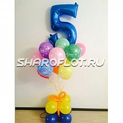 Шары на 5 лет №25