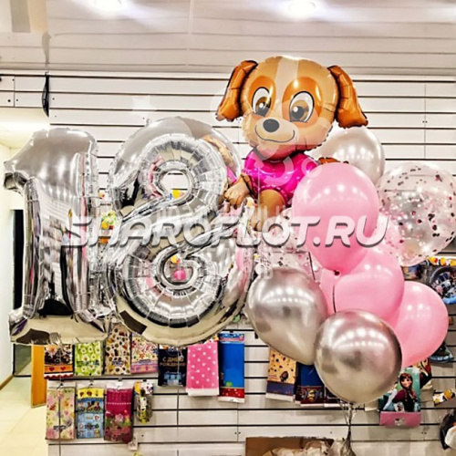 Шары на 18 лет №18
