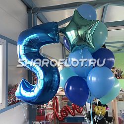 Шары на 5 лет №26