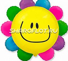 Шар Цветочек разноцветный 70см